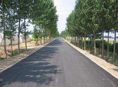 乡村道路安全驾驶