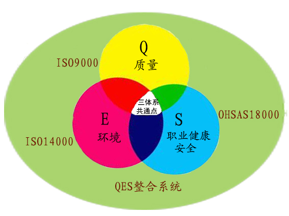 煤矿企业基层区队安全管理体系建设